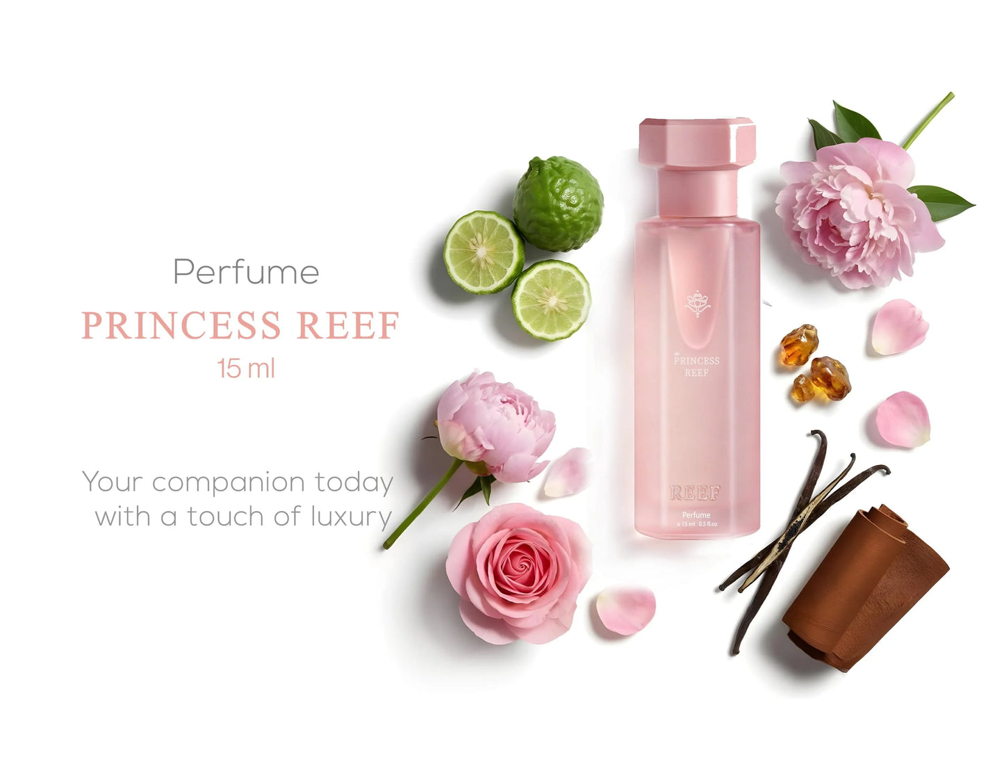 Princess Reef Box Set